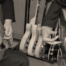 Manuel Hernández & MIguel Pino DEFERENTES