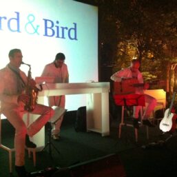 Mediterranean Chill Experience